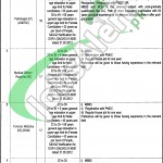 Jobs in Allama Iqbal Medical College Lahore