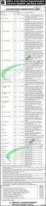 Jobs in Services Hospital Lahore