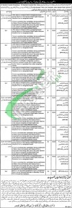 Health Department Lahore Jobs