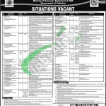 Overseas Pakistani Foundation Jobs