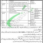 Finance Division Jobs