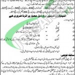 Punjab Police Jobs