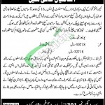 KPK Government Jobs