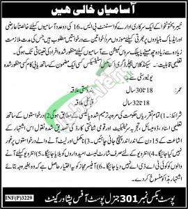 KPK Government Jobs
