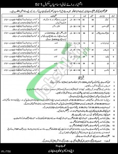 Jobs in Education Department Punjab