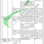 SMBBMU Larkana Jobs