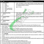 Jobs in University of Education Lahore