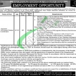 Board of Revenue Punjab Jobs