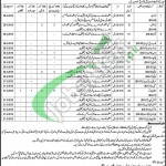 Health Department Faisalabad Jobs