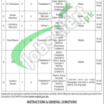 Jobs in Wapda Hospital Faisalabad