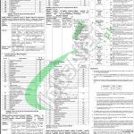 Government College Women University Faisalabad Jobs