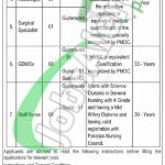 WAPDA Hospital Gujranwala Jobs