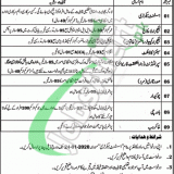 Anjuman-e-Himayat-e-Islam Lahore Jobs 2020
