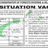 Forest Department Sindh Hyderabad Jobs