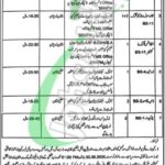 Drug Court Multan Jobs