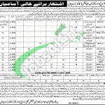 Jobs in Education Department Punjab