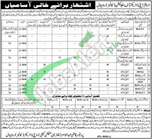 Jobs in Education Department Punjab