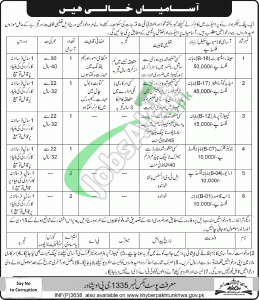 Public Sector Organization Jobs