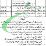 BISE DG Khan Jobs