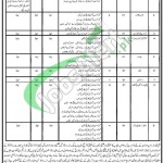 Higher Education Department Punjab Jobs