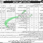 Jobs in Punjab Daanish School Fazilpur