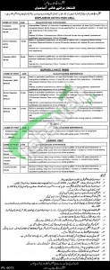 Special Branch Punjab Police Jobs