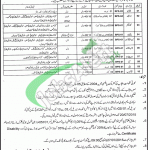 Education Department Punjab Jobs