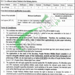 Punjab Workers Welfare Board Jobs