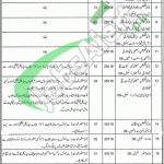 Jobs in Health Department Punjab Gujrat