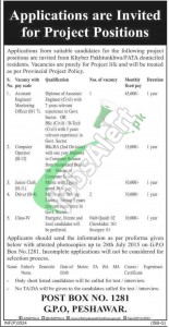 Government of KPK Jobs
