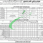 Education Department Punjab Jobs