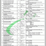 Directorate General Civil Defence Pakistan Jobs