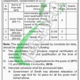 Sindh Wildlife Department Jobs