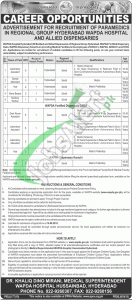 Wapda Hospital Hyderabad Jobs