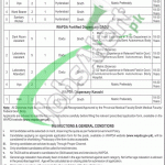 Wapda Hospital Hyderabad Jobs