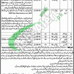 Jobs in BISE Lahore