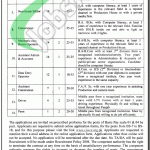 Govt of Punjab Jobs