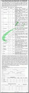 Govt of Punjab Jobs