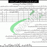 Government College of Science Lahore Jobs