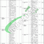 Punjab Police Jobs