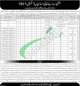 Education Department Punjab Jobs