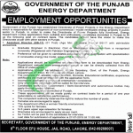 Energy Department Punjab Lahore Jobs