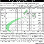 Jobs in Government Khawaja Rafique Shaheed College