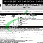 University of Sargodha Jobs