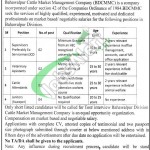 Bahawalpur Cattle Market Management Company Jobs