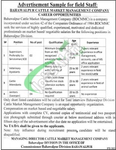 Bahawalpur Cattle Market Management Company Jobs