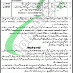 Jobs in District & Session Court Khushab