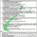 Energy Department Punjab Jobs