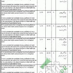 Faisalabad Children Hospital Jobs