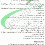 WAPDA Hospital Guddu Jobs